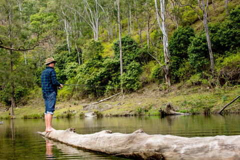 Bass Lodge - Accommodation Tasmania 0