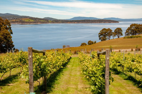 Beaupre Farm - Accommodation Tasmania 0