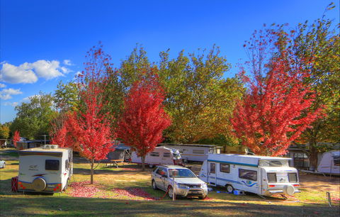 Beechworth Lake Sambell Caravan Park - Accommodation Tasmania 0