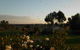 Belubula Cottage Canowindra - thumb 0