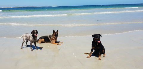 BIG4 Warrnambool Figtree Holiday Park - Accommodation Tasmania 2