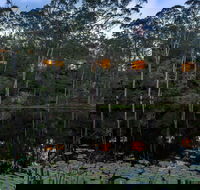 Billabong Retreat - Accommodation Tasmania