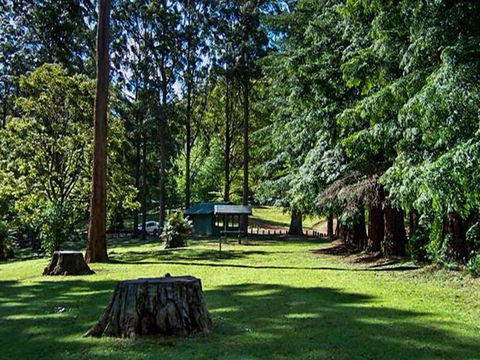 Dingo Tops Campground - Accommodation Tasmania 0