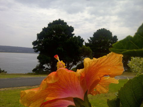 Eden Oceanview - Accommodation Tasmania 1