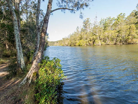 Ferny Creek Campground - Accommodation Tasmania 0