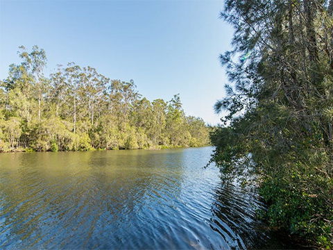 Ferny Creek Campground - Accommodation Tasmania 1