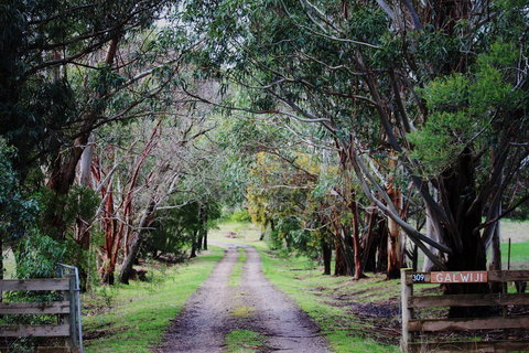 Galwiji Homestead - Accommodation Tasmania 1