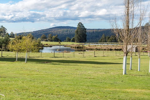 Highland Caravan Park - Accommodation Tasmania 1
