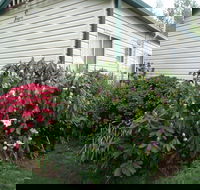 Jenolan Caravan Park - Accommodation Tasmania