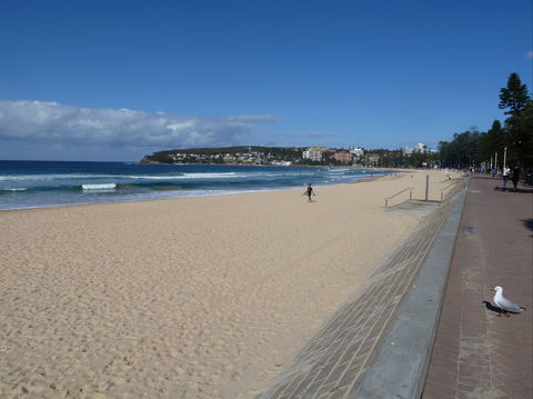 Manly Seaside Cottage - Accommodation Tasmania 0