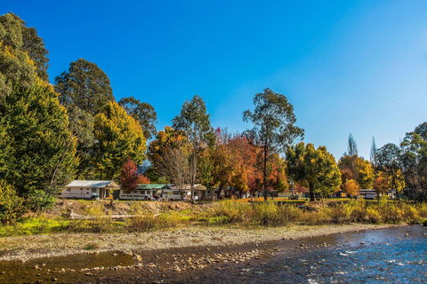 Porepunkah Bridge Holiday Park - Accommodation Tasmania 1