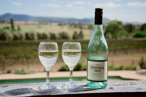 Tranquil Vale Vineyard - Accommodation Tasmania 0
