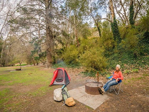 Wombeyan Caves Campground - Accommodation Tasmania 2