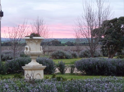 Angas Plains Wines Suites - Accommodation Tasmania 2