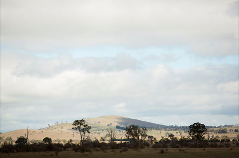 Aurelias Farm Bed And Breakfast - Accommodation Tasmania 1