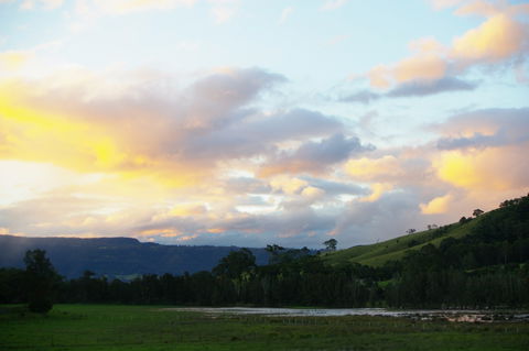 Back Forest Retreat - Accommodation Tasmania 0