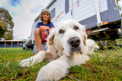 BIG4 St Helens Holiday Park - Accommodation Tasmania 2