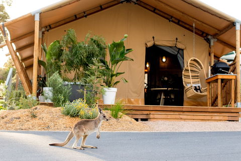 BIG4 Anglesea Holiday Park - Accommodation Tasmania 2