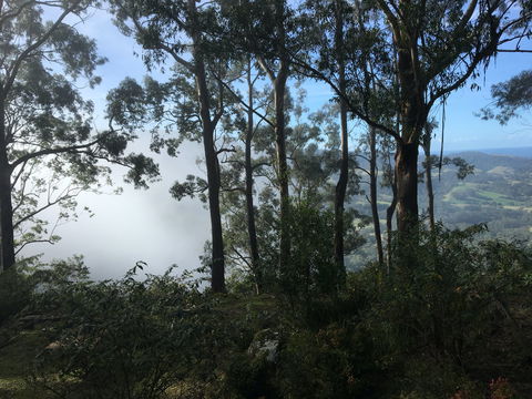 Escarpment - Accommodation Tasmania 2