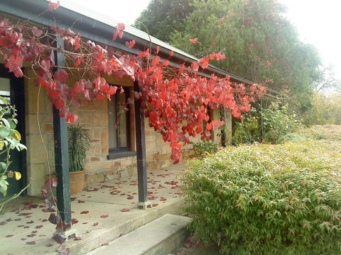 Ethel's Cottage - Accommodation Tasmania 0