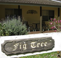 Figtree Cottage - Accommodation Tasmania