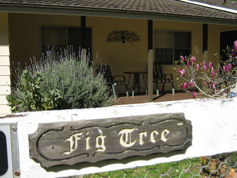 Figtree Cottage - Accommodation Tasmania 0