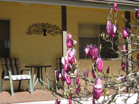 Figtree Cottage - Accommodation Tasmania 1