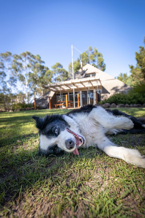 Grampians Getaway - Accommodation Tasmania 0
