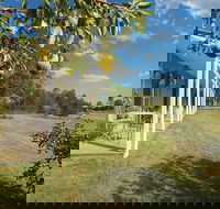 Hillcrest House - Accommodation Tasmania