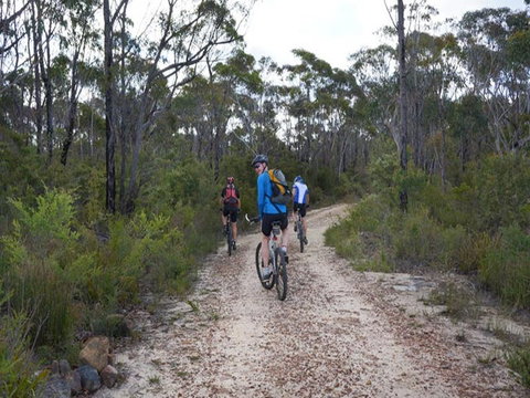 Ingar Campground - Accommodation Tasmania 0