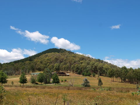 Mad On The Buckland - Accommodation Tasmania 1