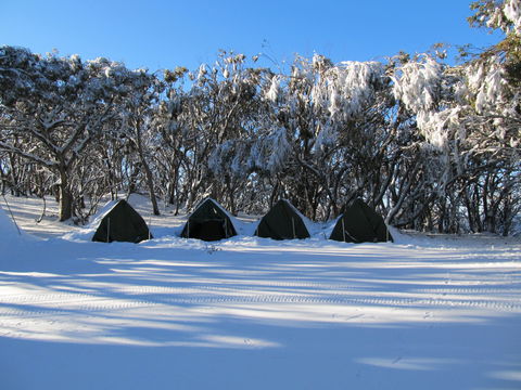 Mt Stirling Alpine Winter Camp - Accommodation Tasmania 1
