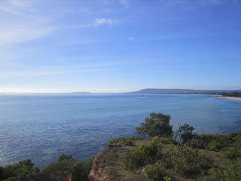 Plantation House At Whitecliffs - Accommodation Tasmania 1