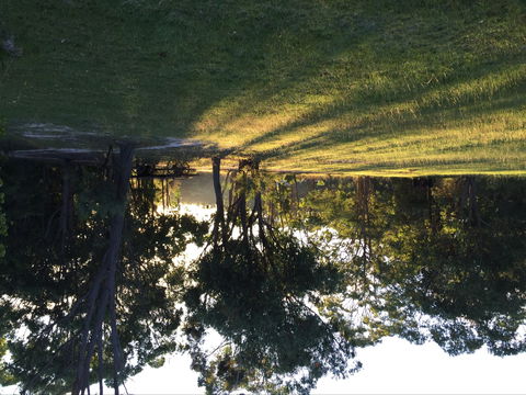 Possum's Hollow And Hooter's Hut - Accommodation Tasmania 0