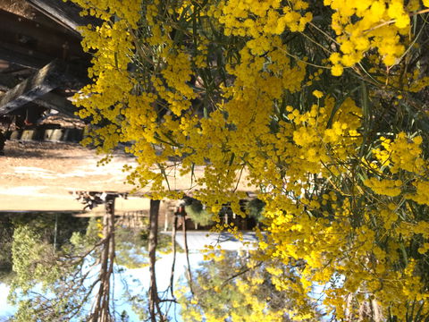 Possum's Hollow And Hooter's Hut - Accommodation Tasmania 1
