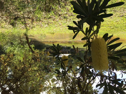 Possum's Hollow And Hooter's Hut - Accommodation Tasmania 2