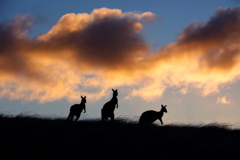 Sky House LifeTime Private Retreats - Accommodation Tasmania 1
