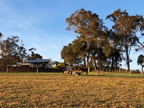 Great Southern Outback Tours & Accommodation - Accommodation Tasmania 2