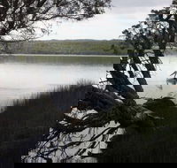 The Cove - Accommodation Tasmania