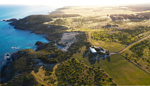Yondah Beach House - Accommodation Tasmania 1