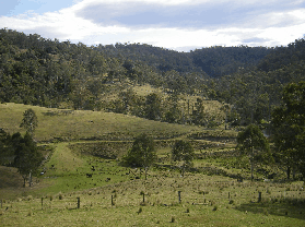 Yasuragi Cabins - Accommodation Tasmania