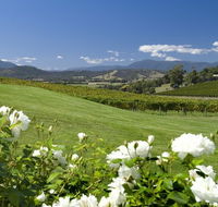 Balgownie Estate Vineyard Resort and Spa - Accommodation Tasmania