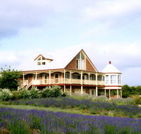 Serendipity Lavender Farm - Accommodation Tasmania