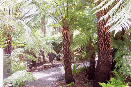 Glenview Retreat - Accommodation Tasmania 2