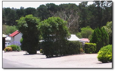 Wantirna Park - Accommodation Tasmania 5