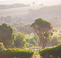 Mackas Farm - Accommodation Tasmania