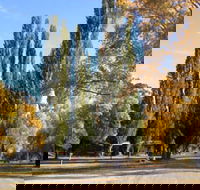 Omeo Caravan Park - Accommodation Tasmania