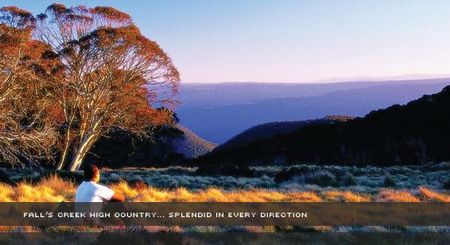 Alpine View Apartments - Accommodation Tasmania 1