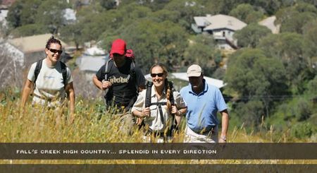 Alpine View Apartments - Accommodation Tasmania 3