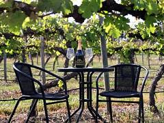 De Vine Escape - Accommodation Tasmania 2